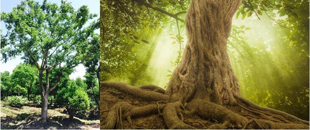 1487567880272841.jpg QQ截圖20170220131632_副本.jpg